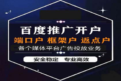 百度广告推广实战案例解析